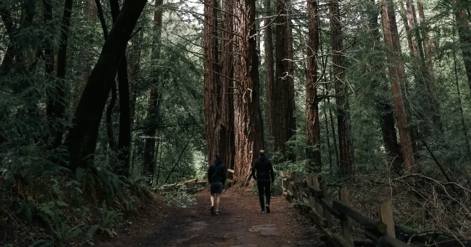 10 Best Hiking Trails in and Around Oakland